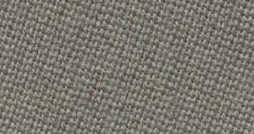 Сукно "Simonis 760" ш1,98м Grey 2